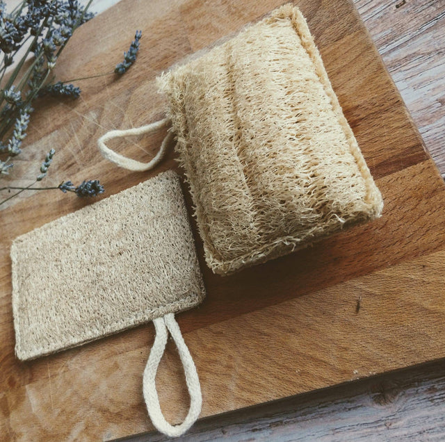 Two natural loofah sponges on a wooden surface with dried lavender.