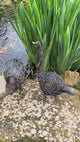 Handmade Wire Duck Garden Ornament