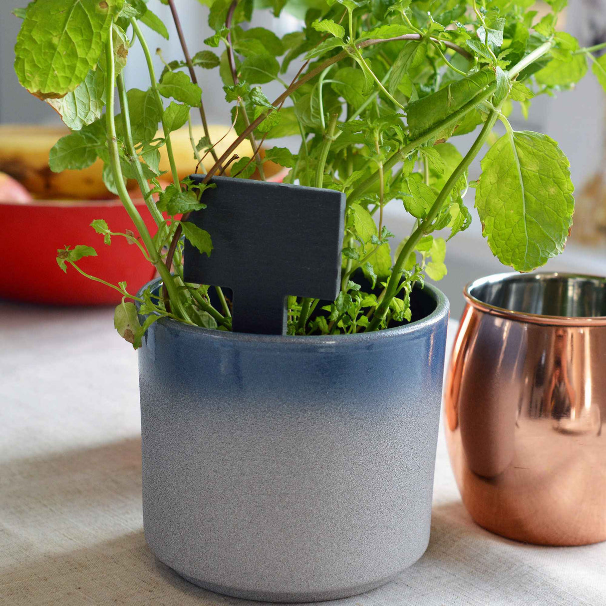 slate marker In blue pot