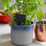 slate marker In blue pot