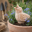 Terracotta Bird Plant Watering Spike Patterned