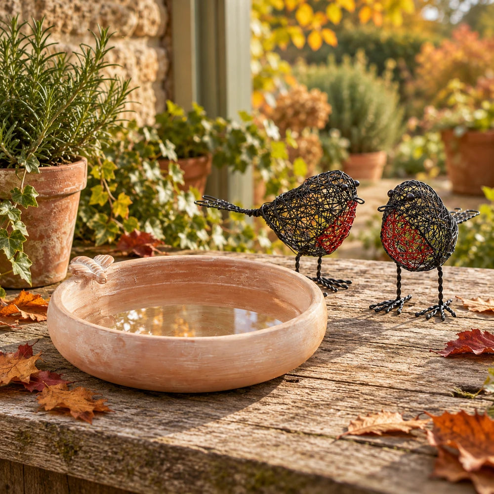 Whitewashed terracotta bee bird bath and two wire robin ornaments on an autumn cottage garden bench.